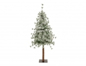 Εικόνα Χριστουγεννιάτικα Δέντρα !